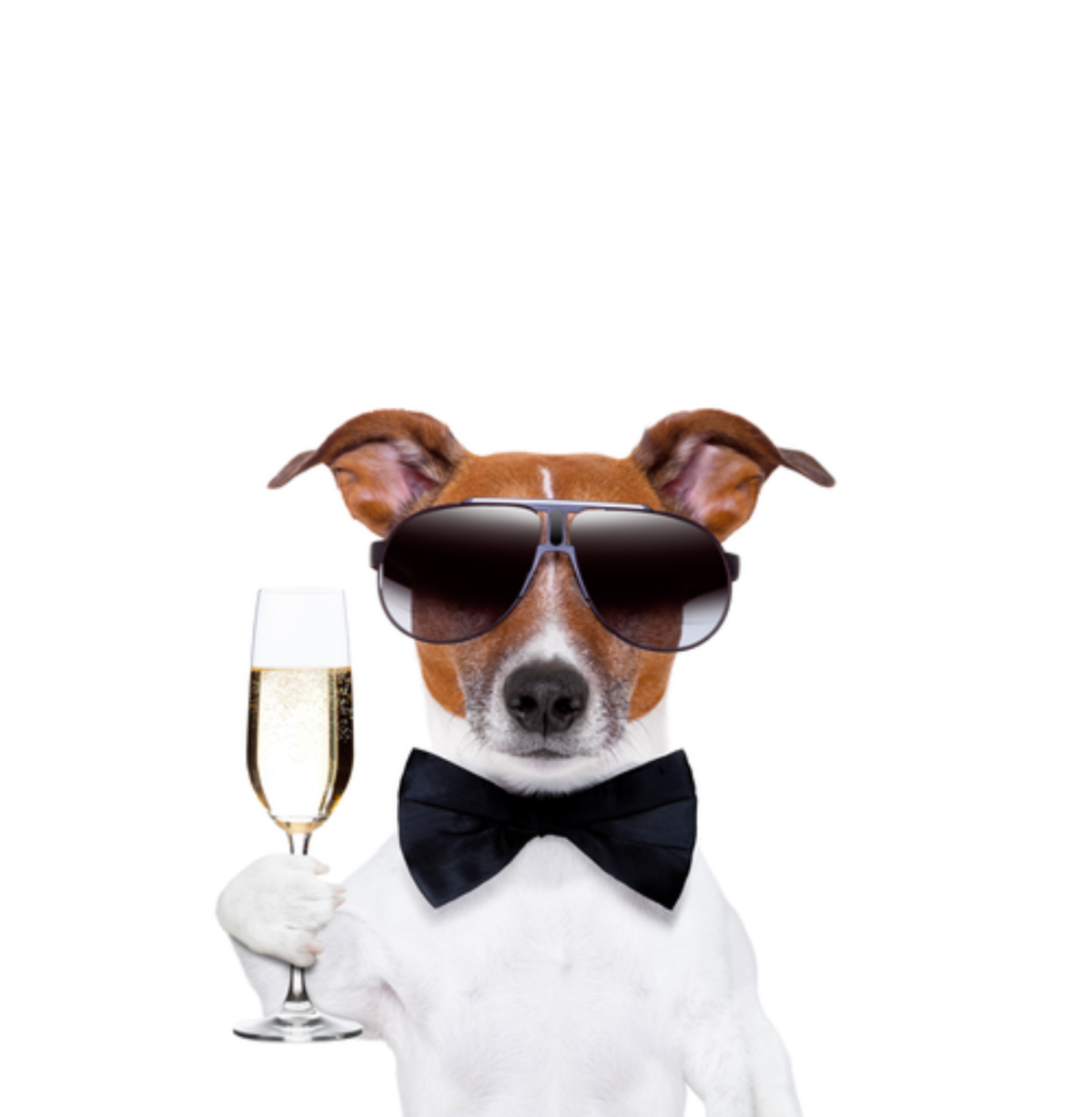 Поздравления с днём рождения браиу