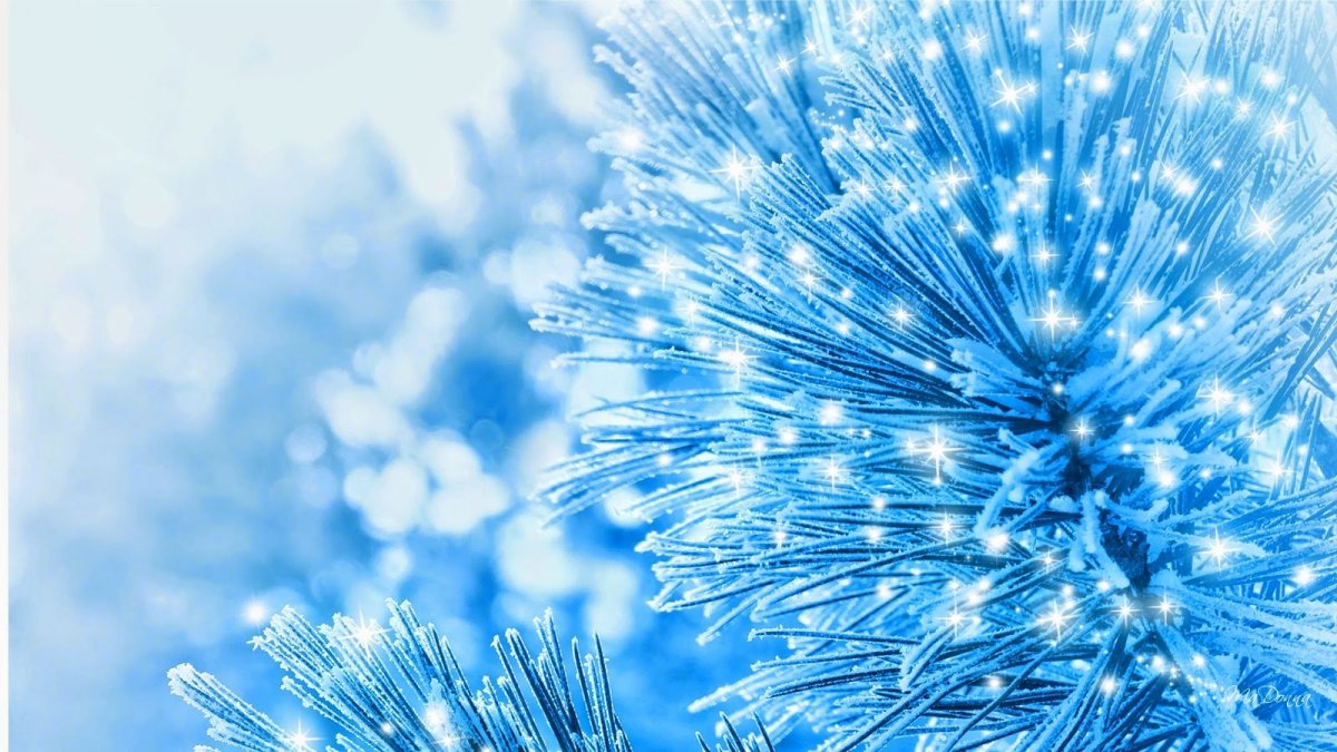 Зимние обои вертикальные