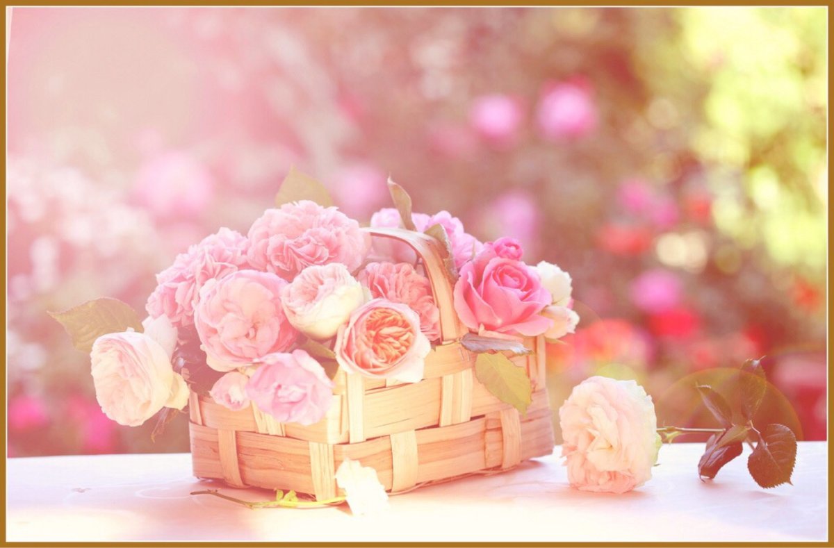 Нежные и милые цветы