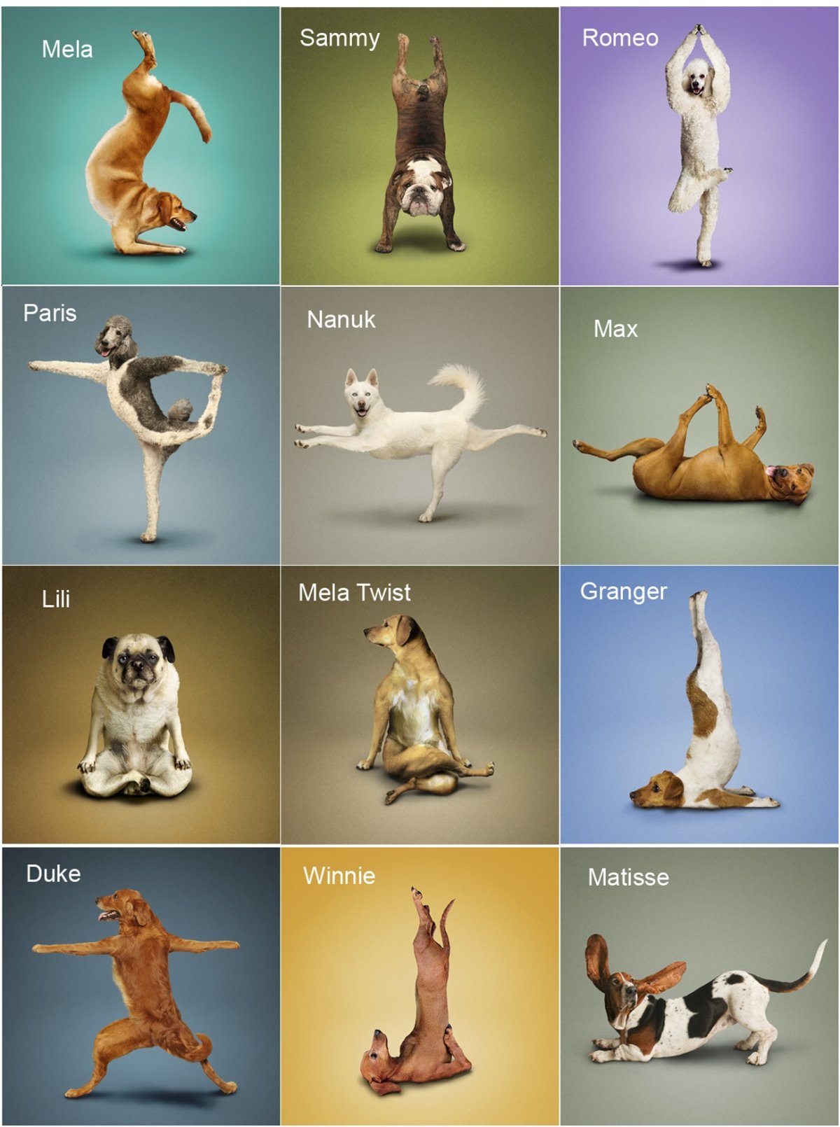 С днем тренера поздравления