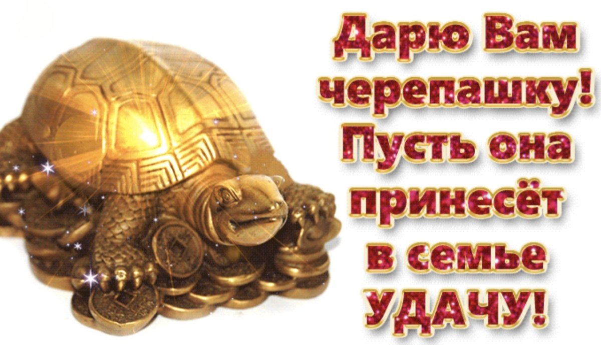 Открытки с черепахами