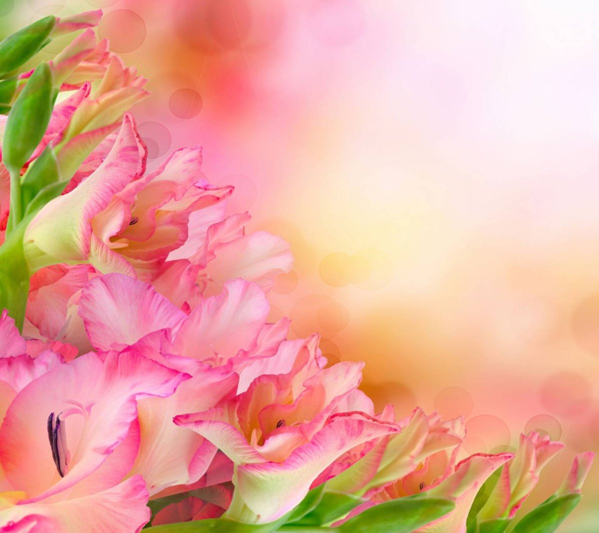 Цветочный фон