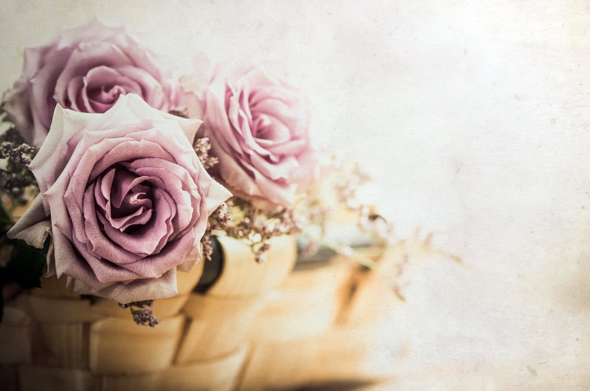 Прикольные поздравления с днем рождения