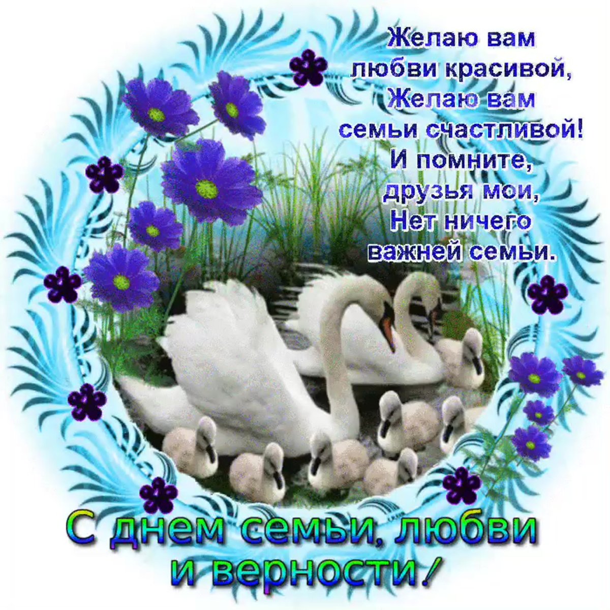 8 Июля открытки