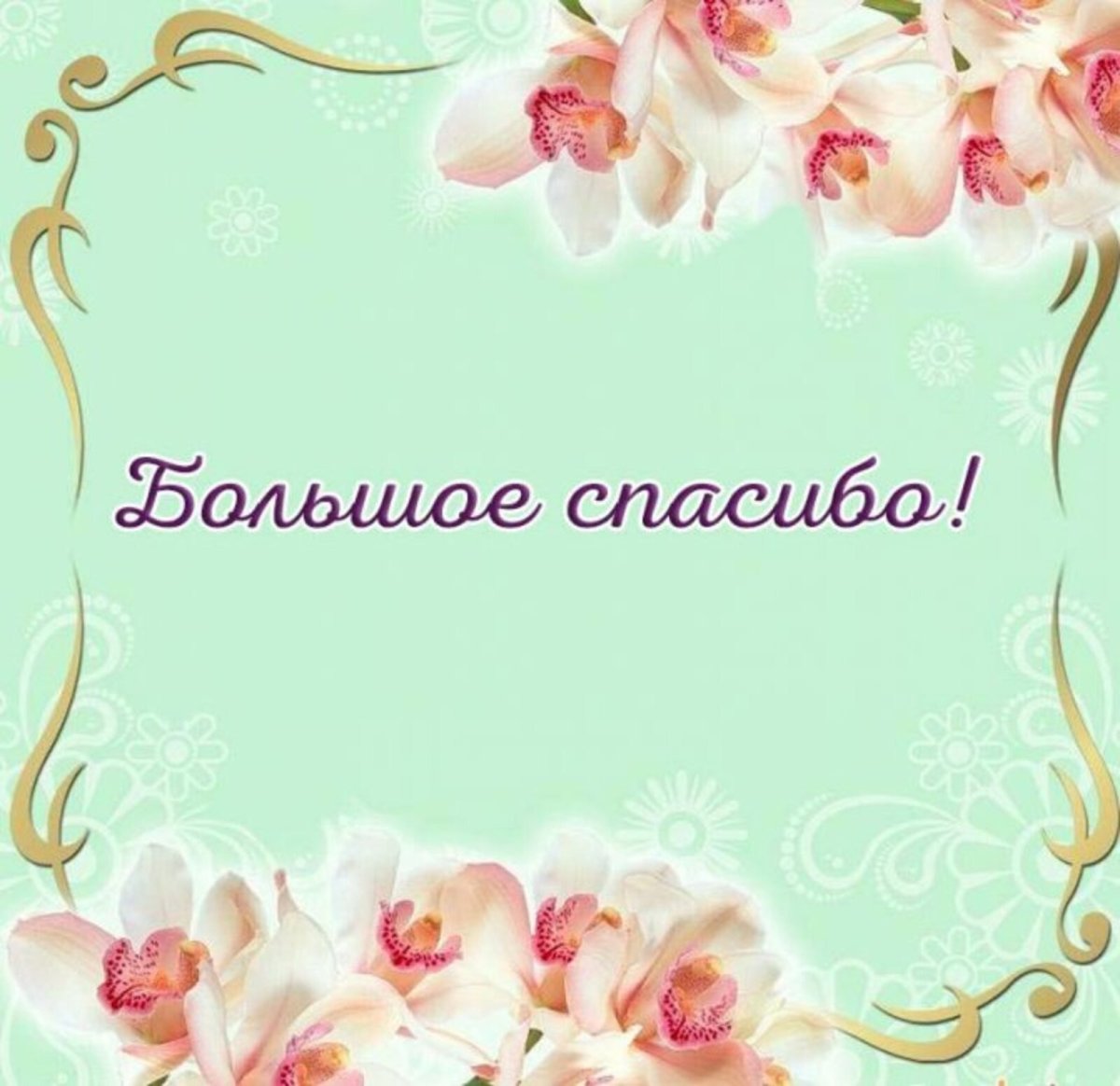 Молодому учителю поздравление