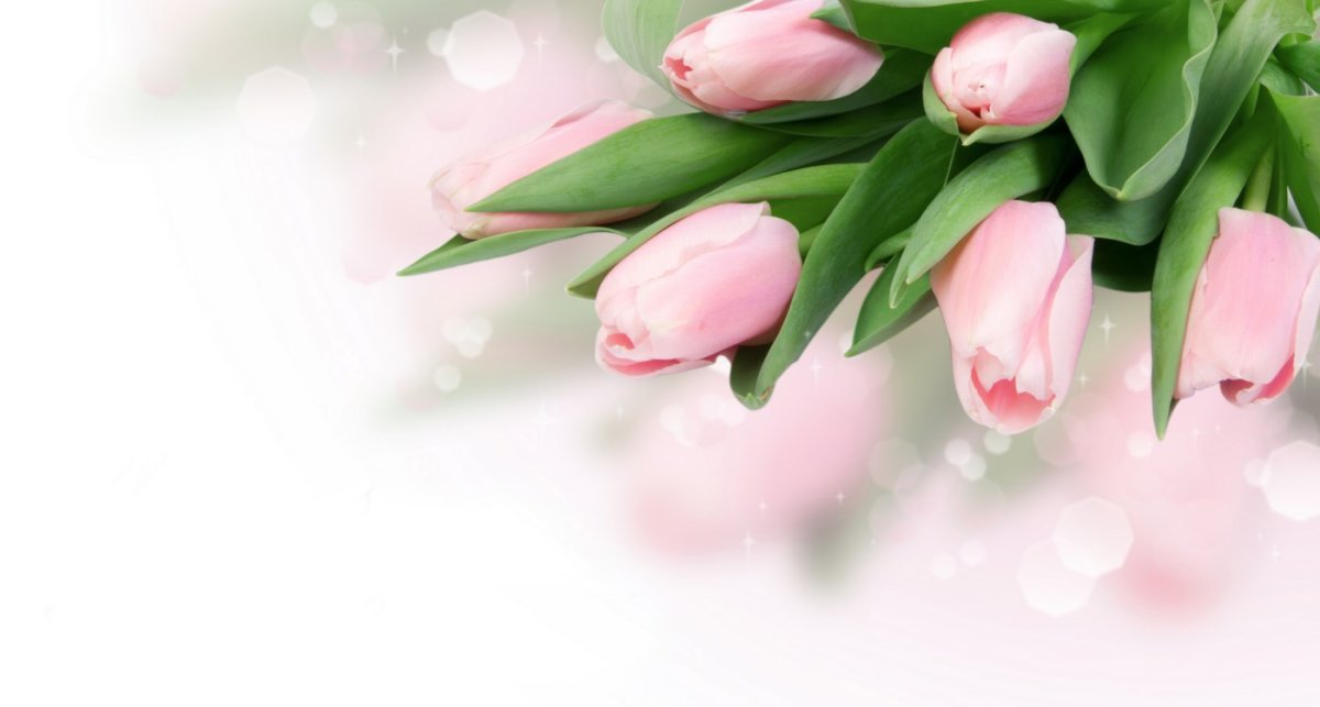 Поздравление с 8 марта