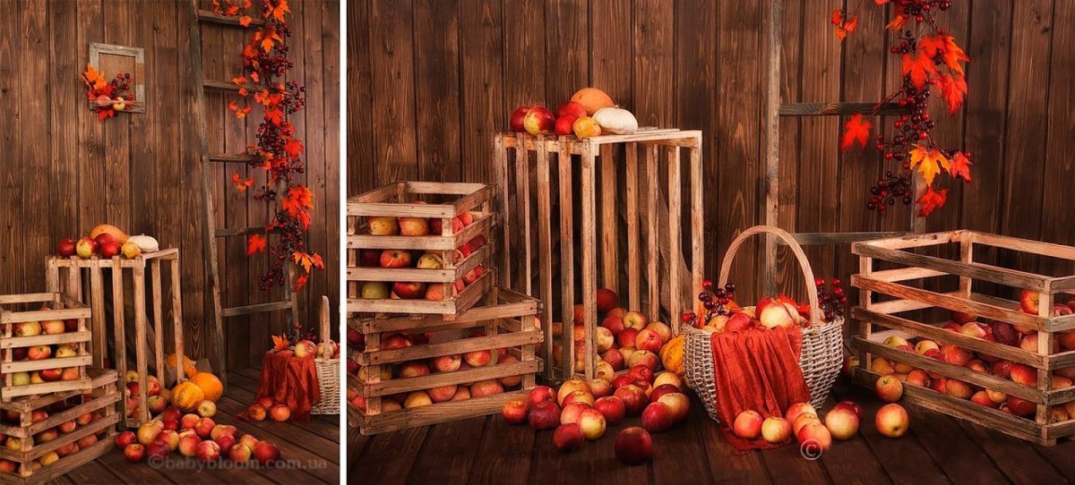 Фотозона осень