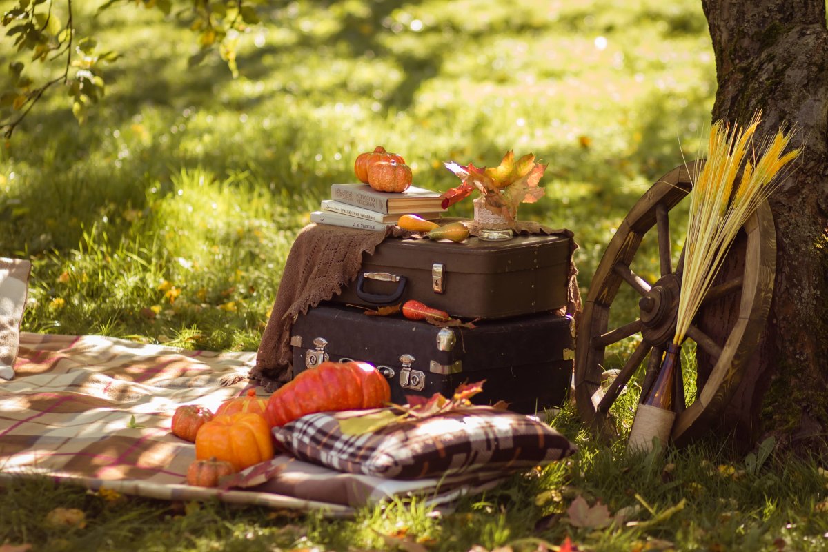 Фотозона с тыквами на природе
