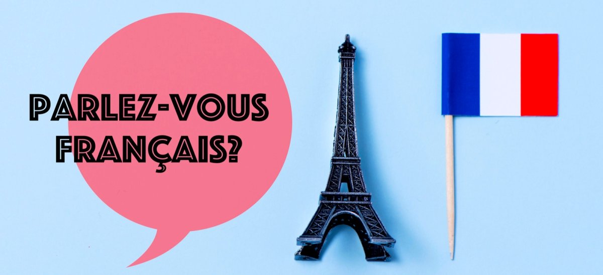 Девушка с флагом Франции