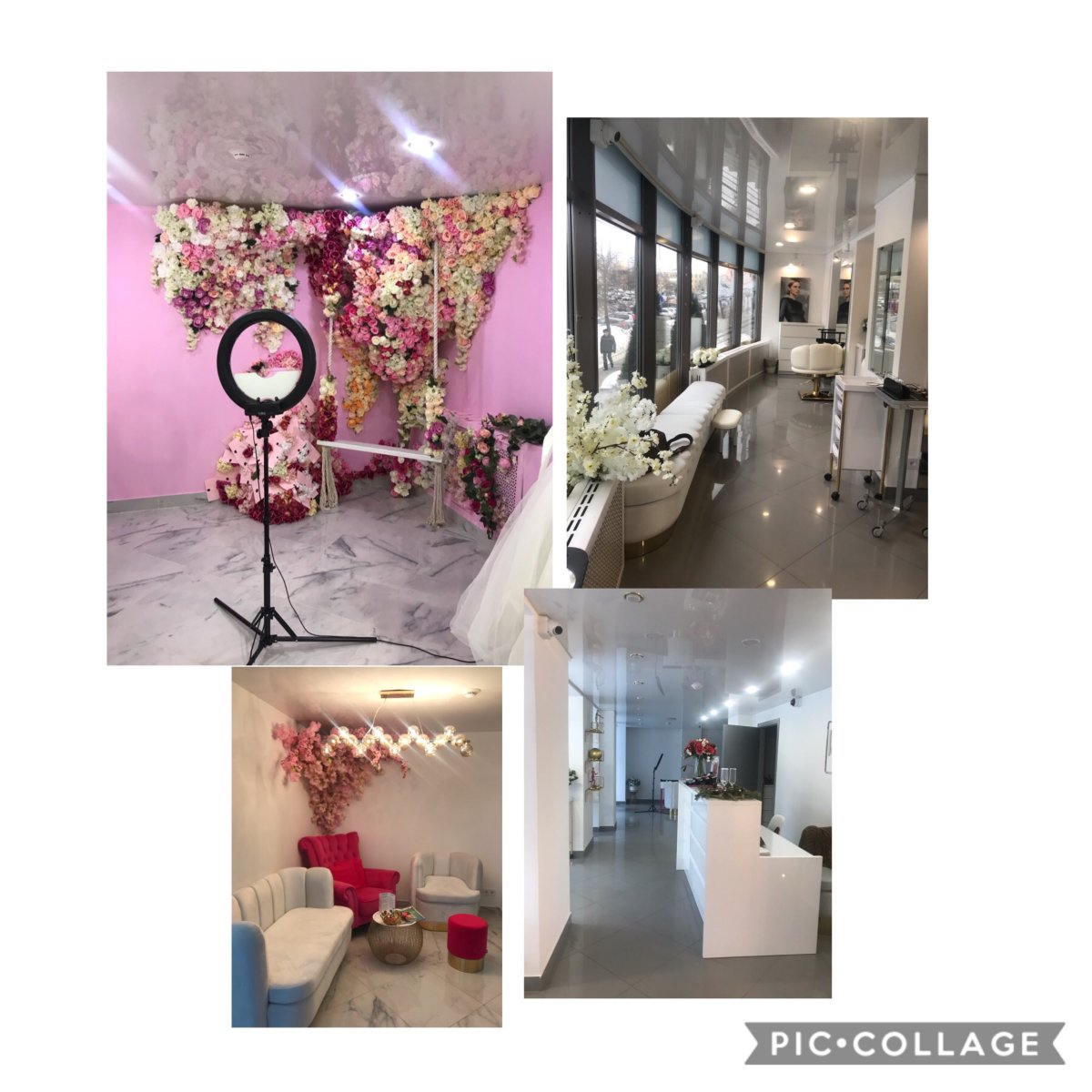 Цветы для интерьера гигантские