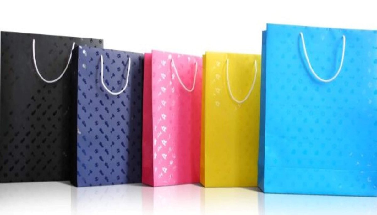 Сумка из мягкого пластика l"Парижанка"