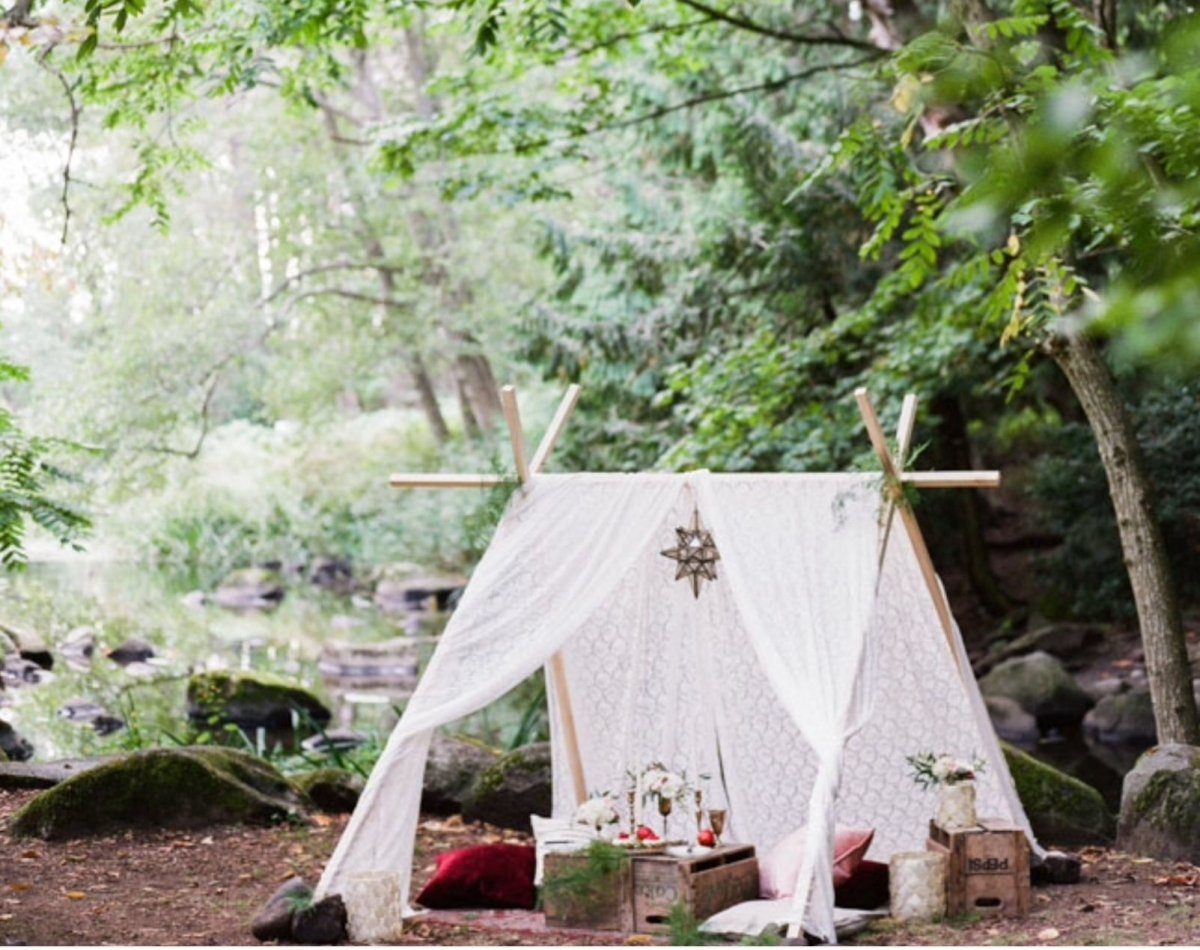 Фотозона для собак