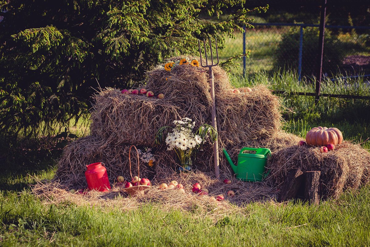 Фотозона сено