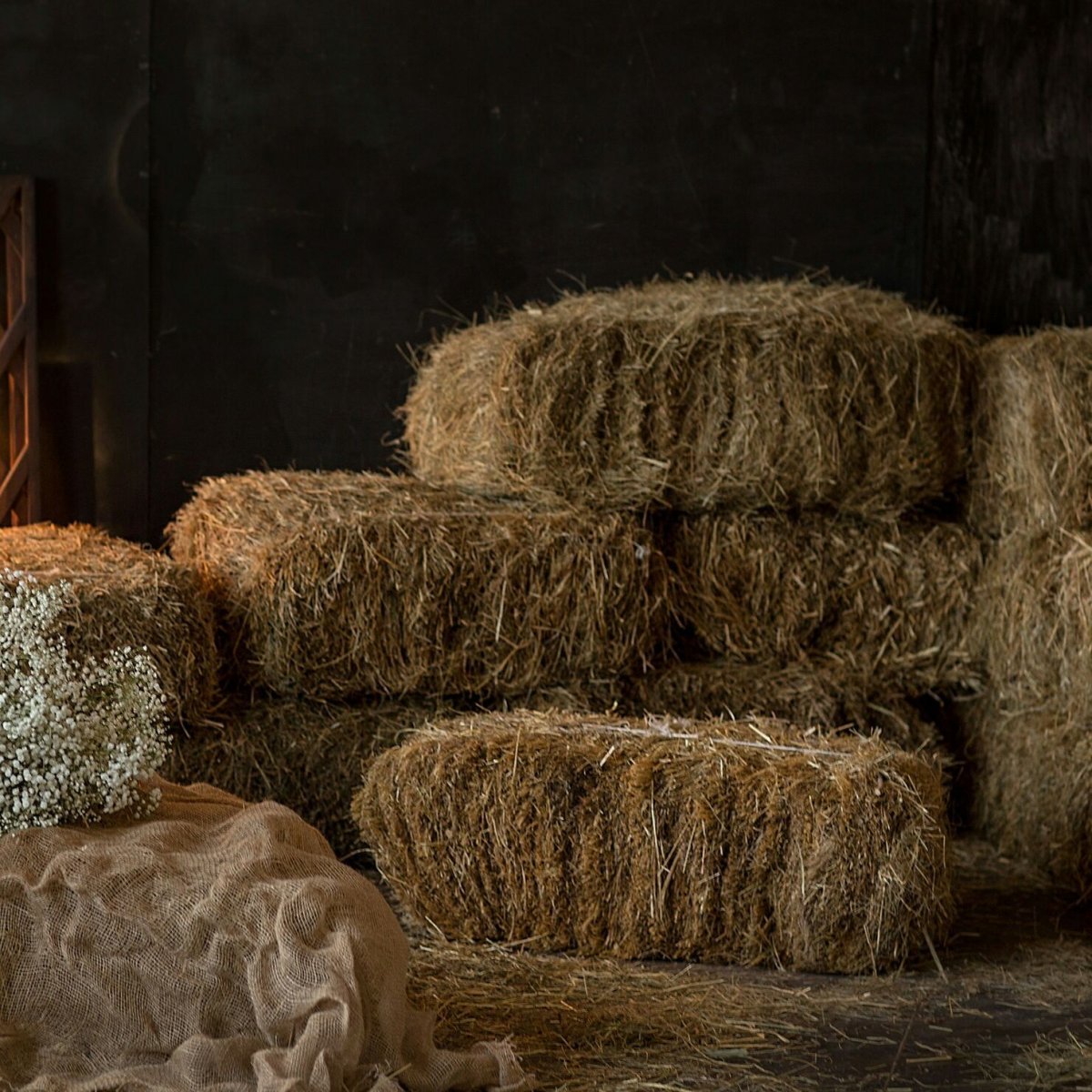 Фигуры из сена