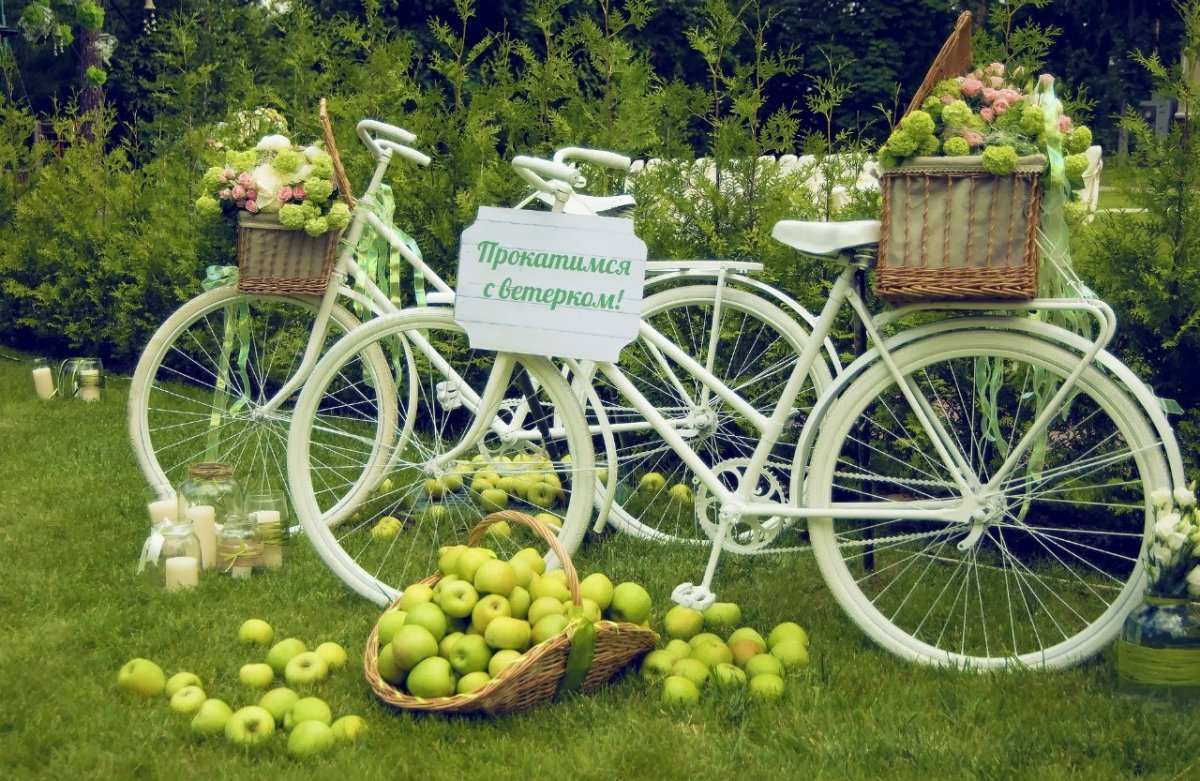 Фотозона с велосипедом и цветами