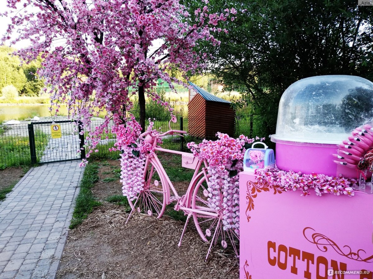 Фотосессия с велосипедом