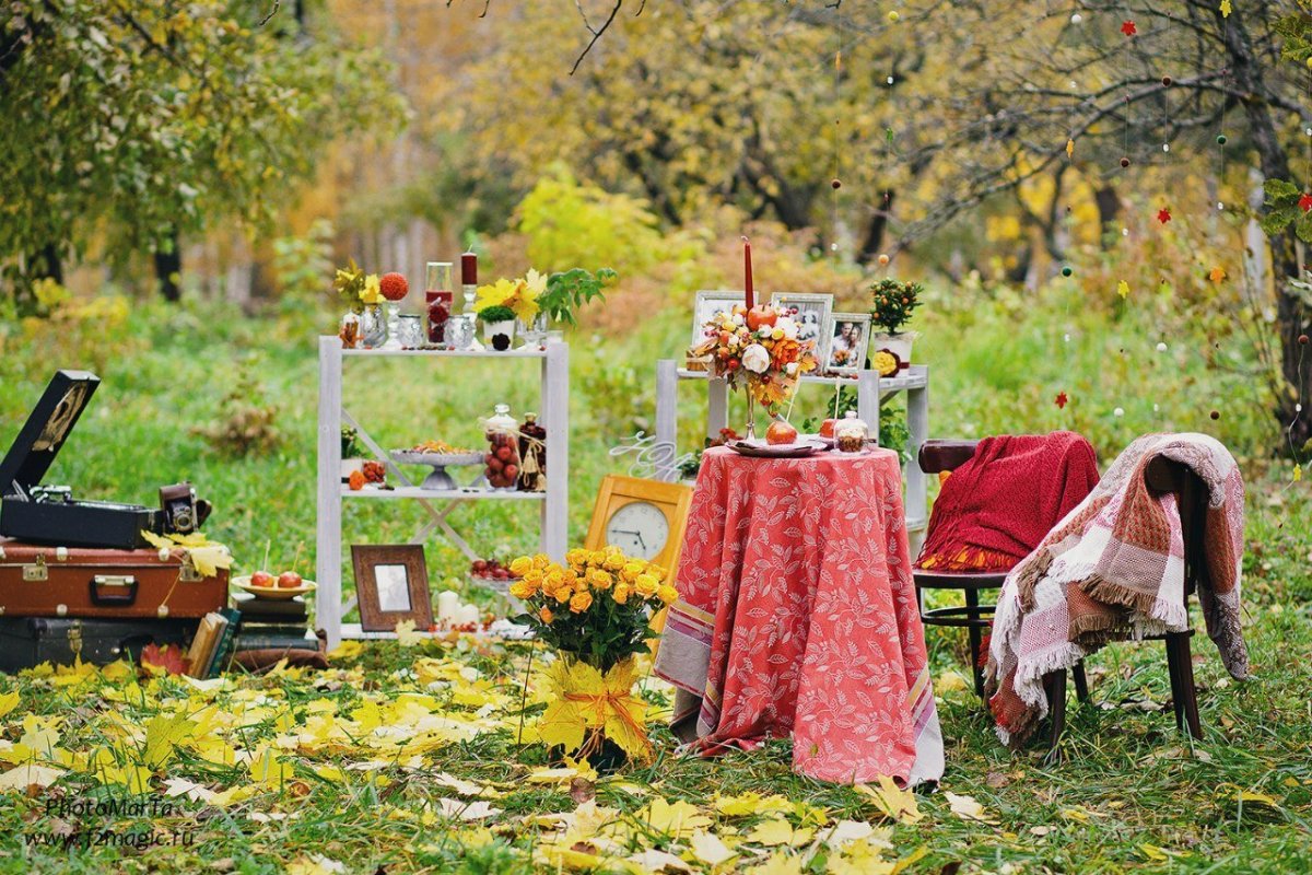 Фотозона пикник