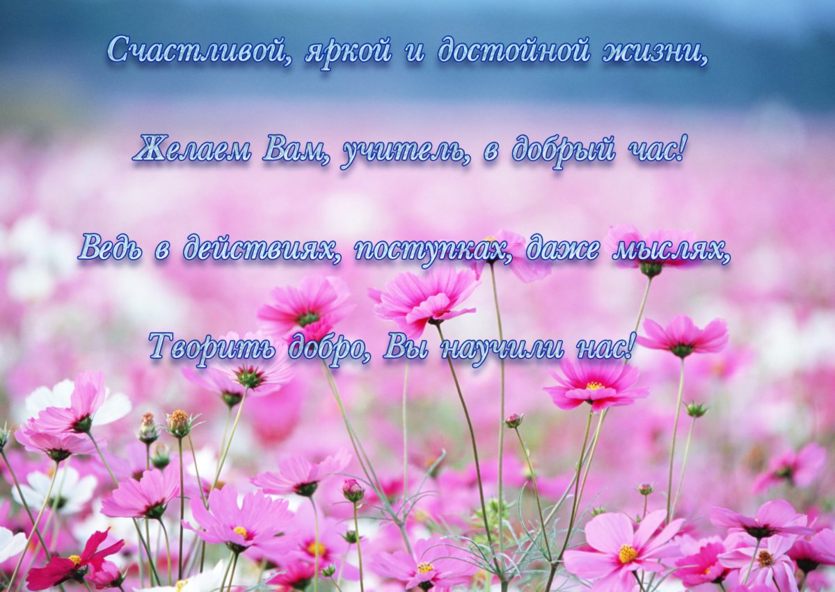 Коротенький стишок на день учителя
