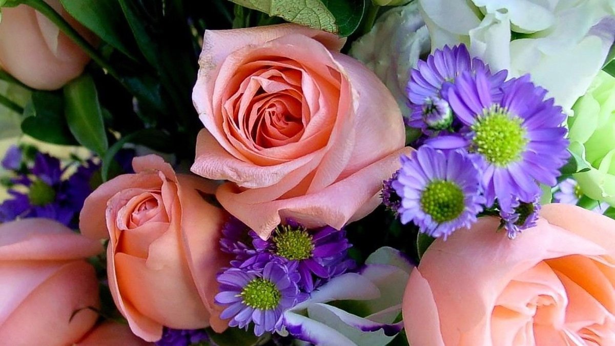 Красивые поздравительные цветы