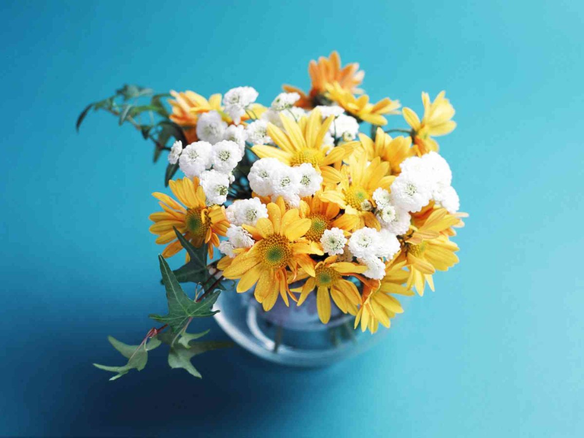 Букет цветов картинки