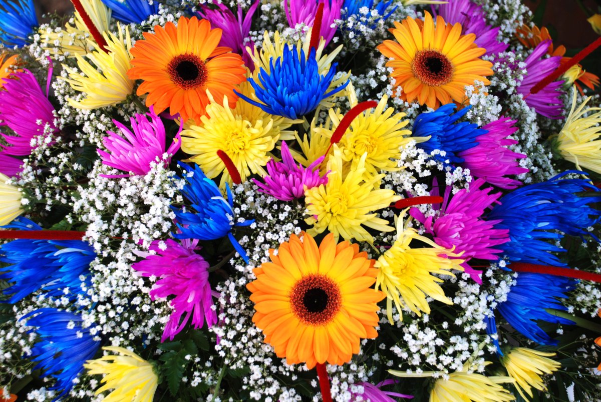 Разные цветы для учебе