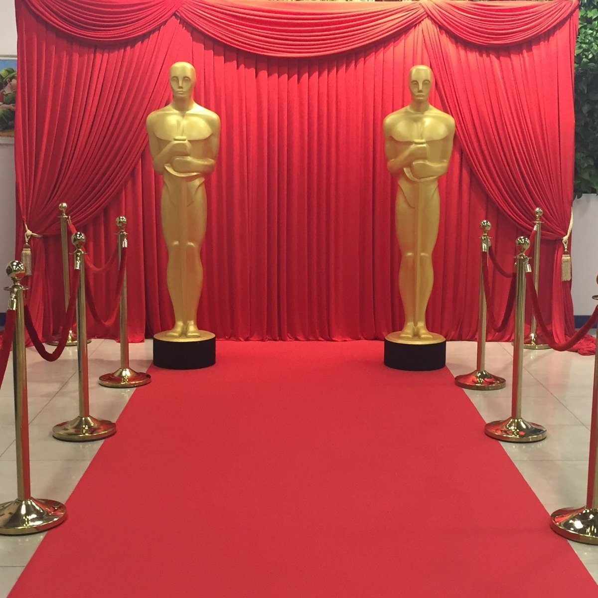 Фотозона красная дорожка Оскар