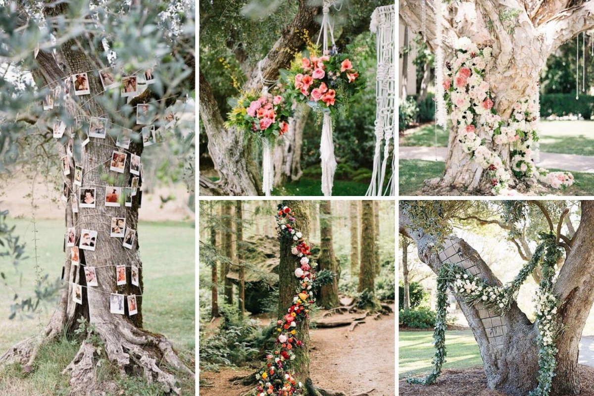 Украшение деревьев лентами