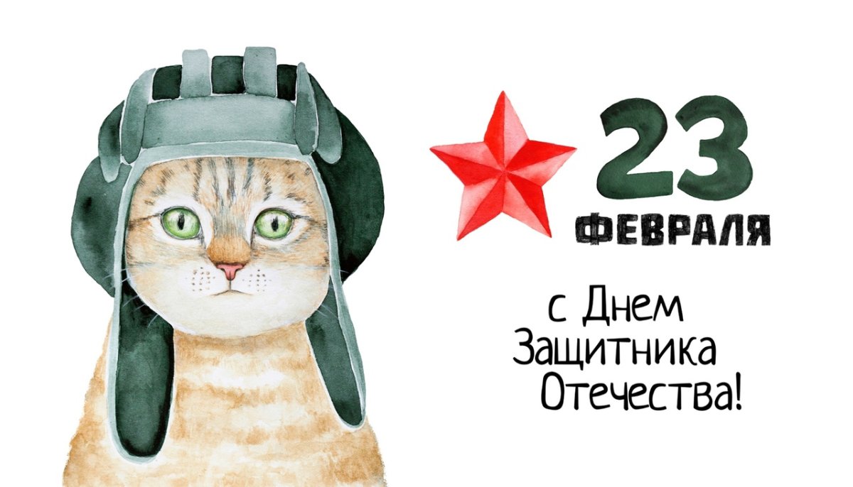 23 Февраля коты
