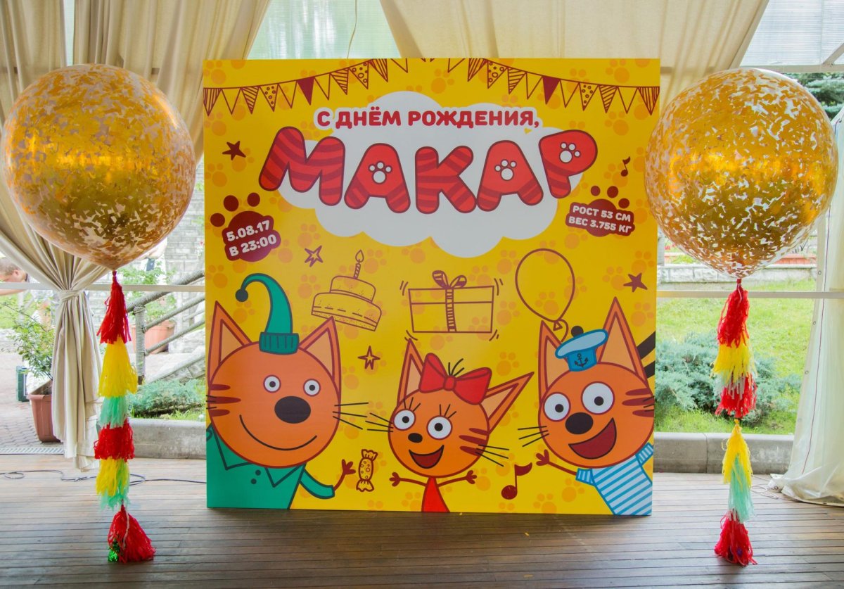 Фотозона с Карамелькой три кота