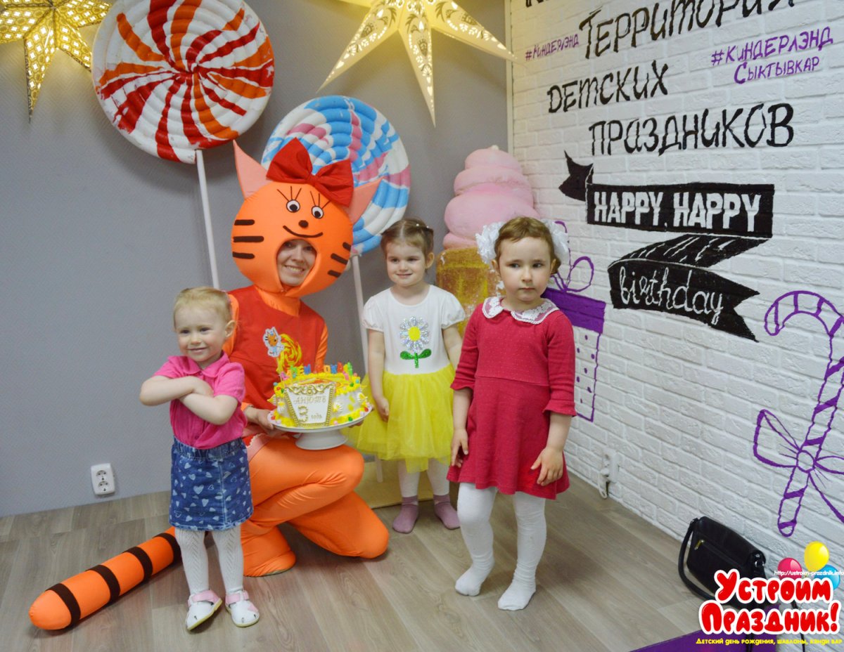 День рождения в стиле кошки