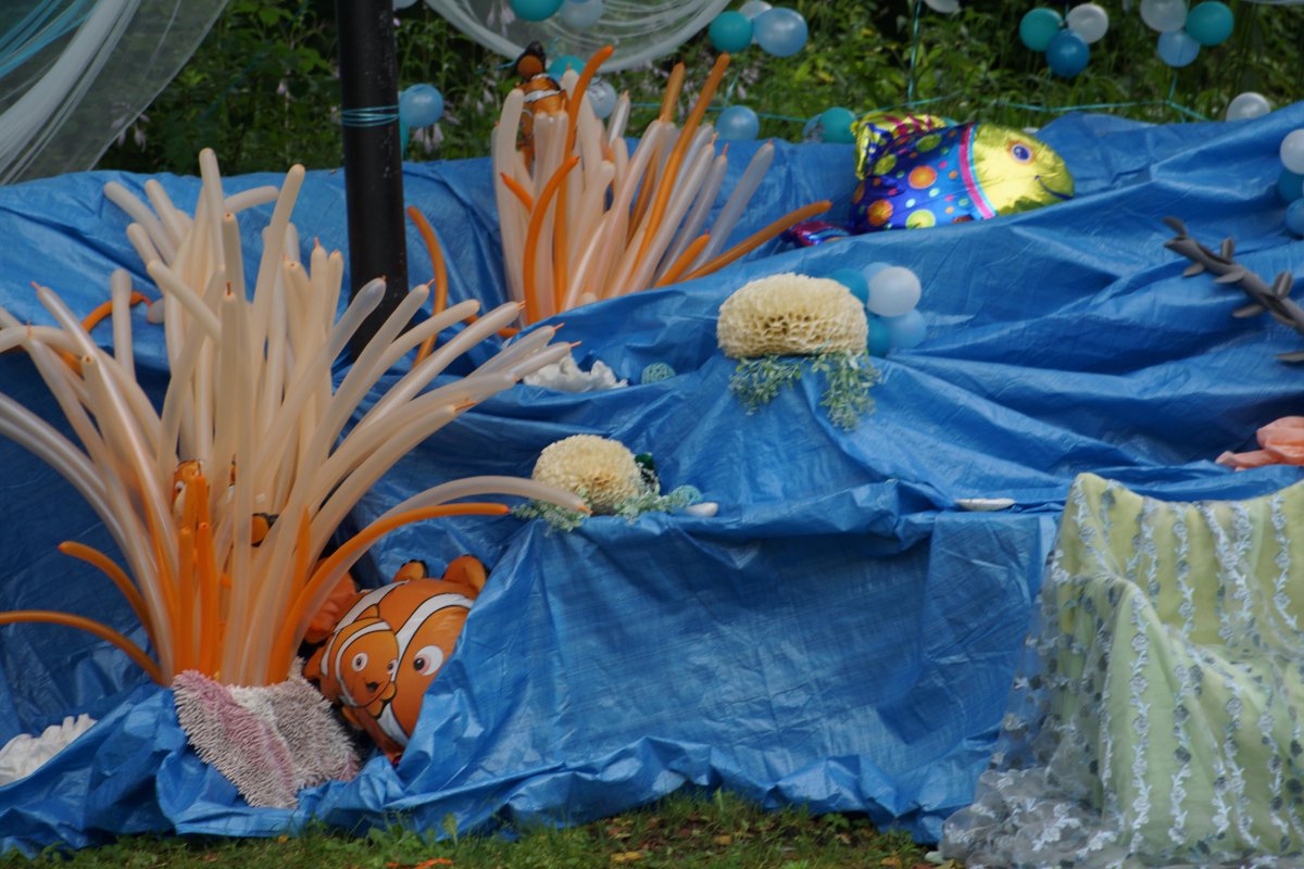 Карамельная фотозона