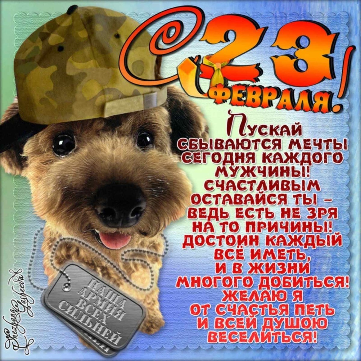 С днем защитника Отечества братишка