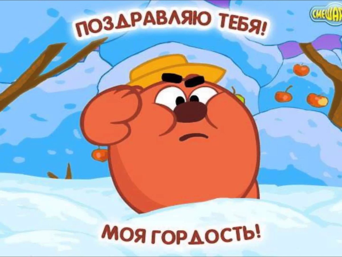 23 Февраля черепаха