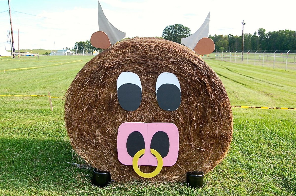 Фотозона из сена