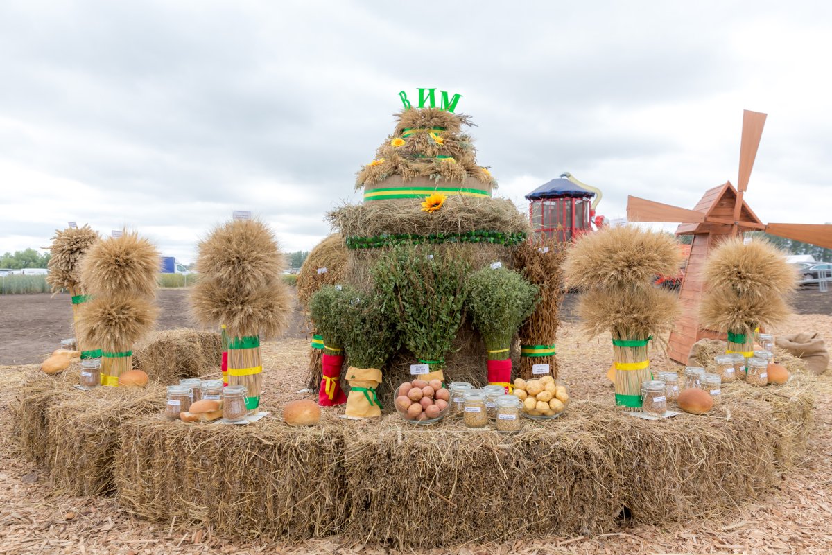 Фотозона на базе отдыха