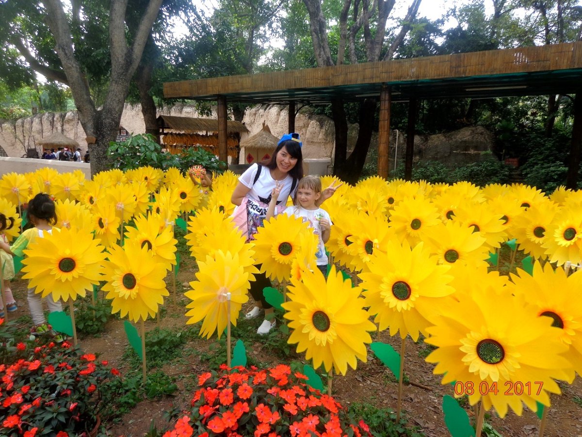 Фотозона с подсолнухами