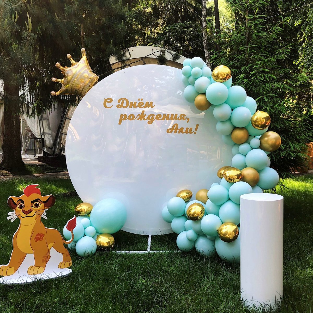 Фотозона Симба