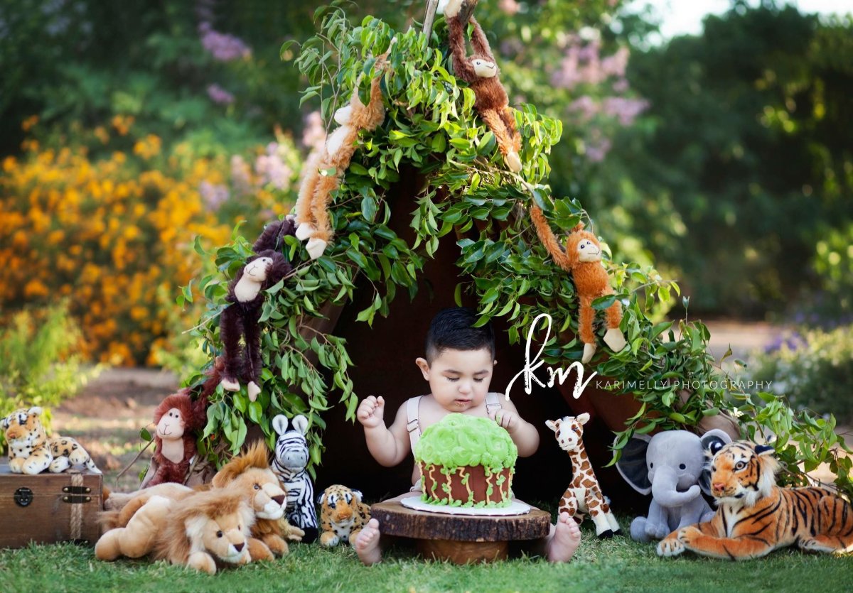 Фотозона Король Лев с шариками