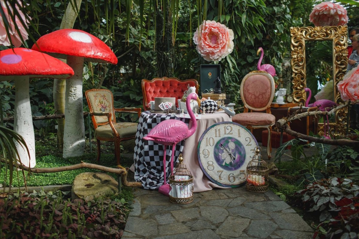 Сад в стиле Алиса в стране чудес