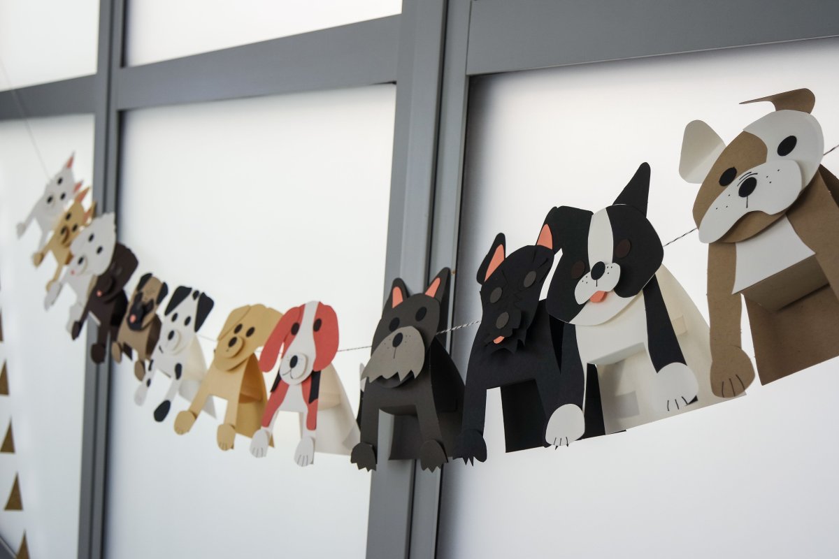 Собачья вечеринка для детей