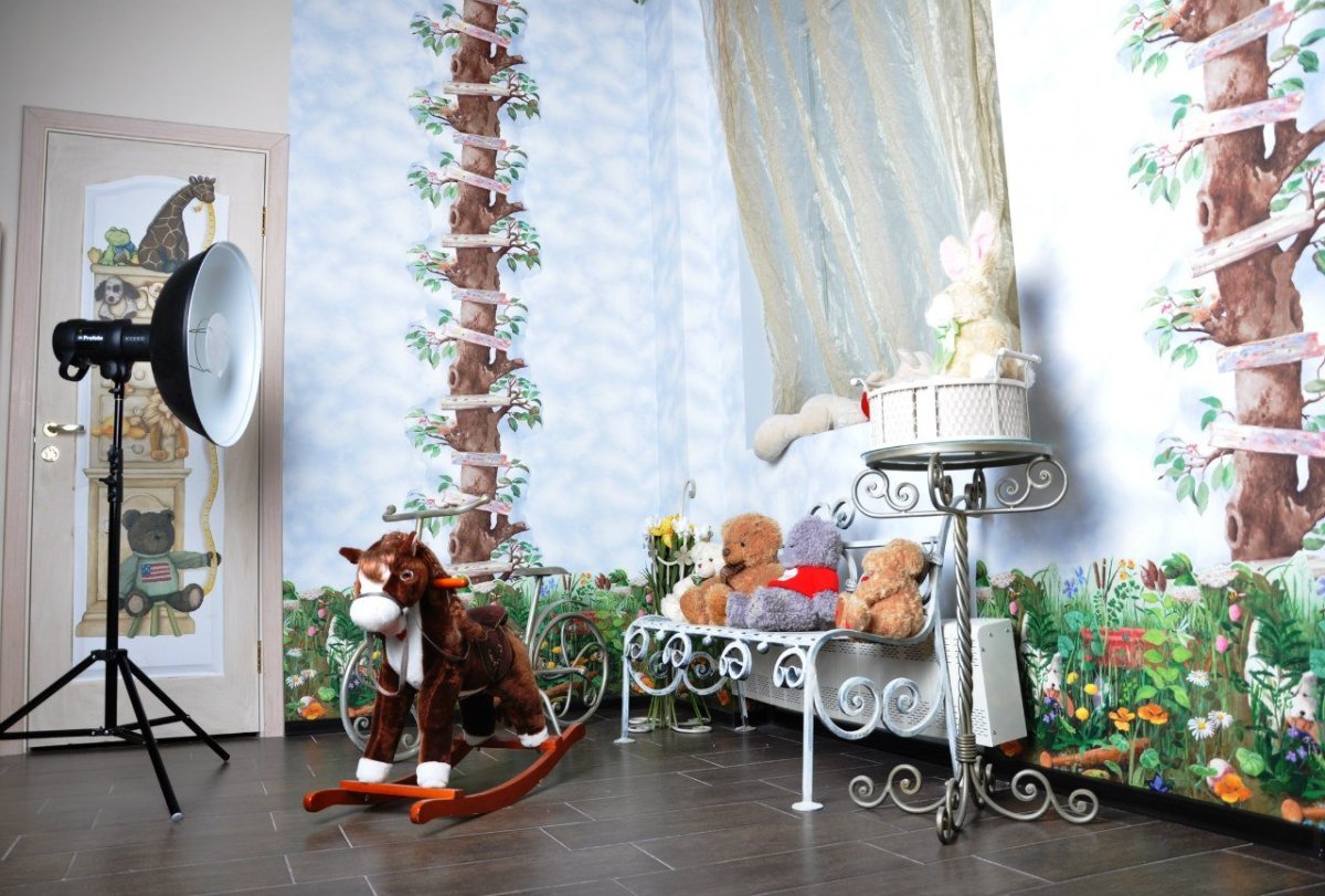 Фотозона для собак