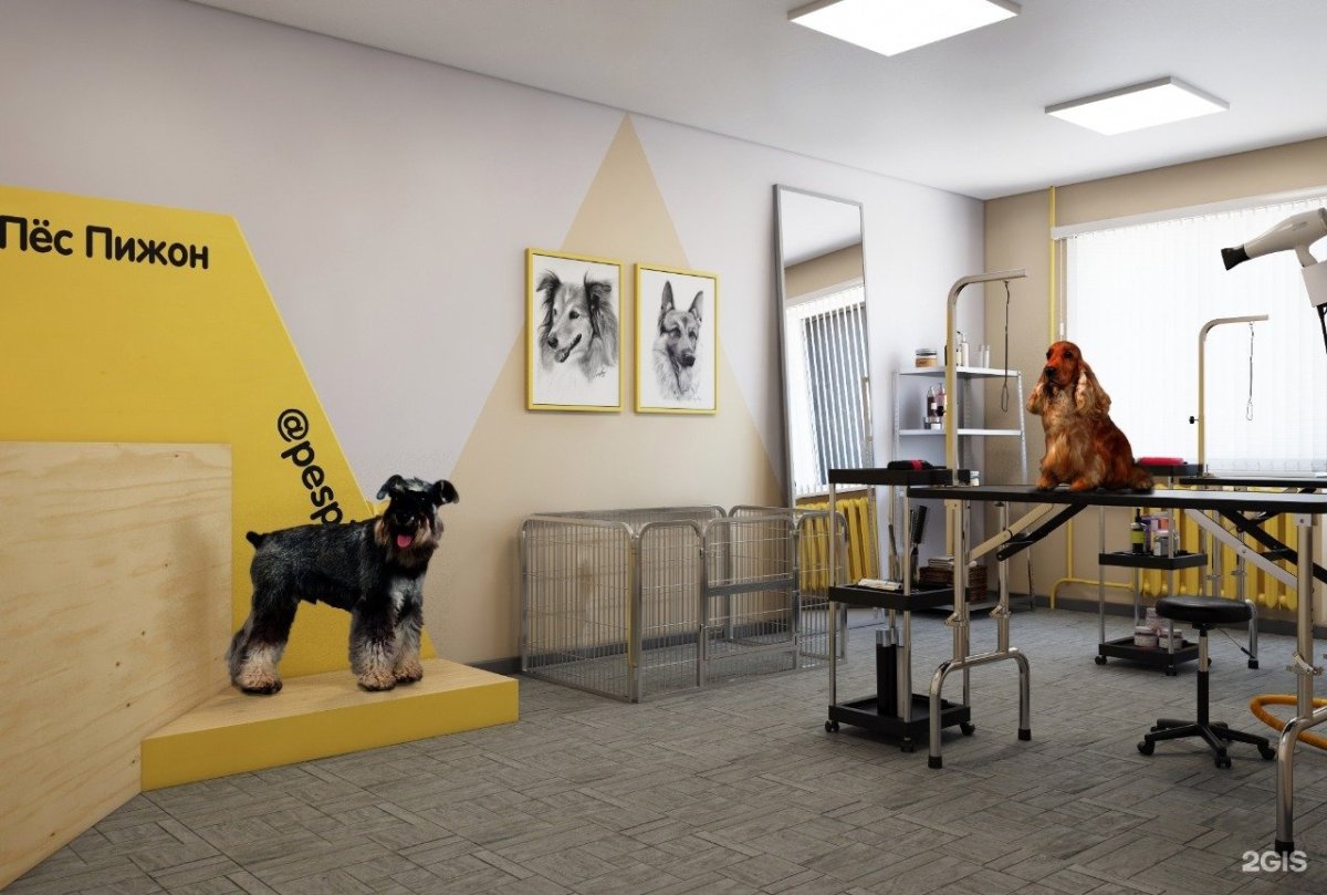 Детские фотозоны с шарами