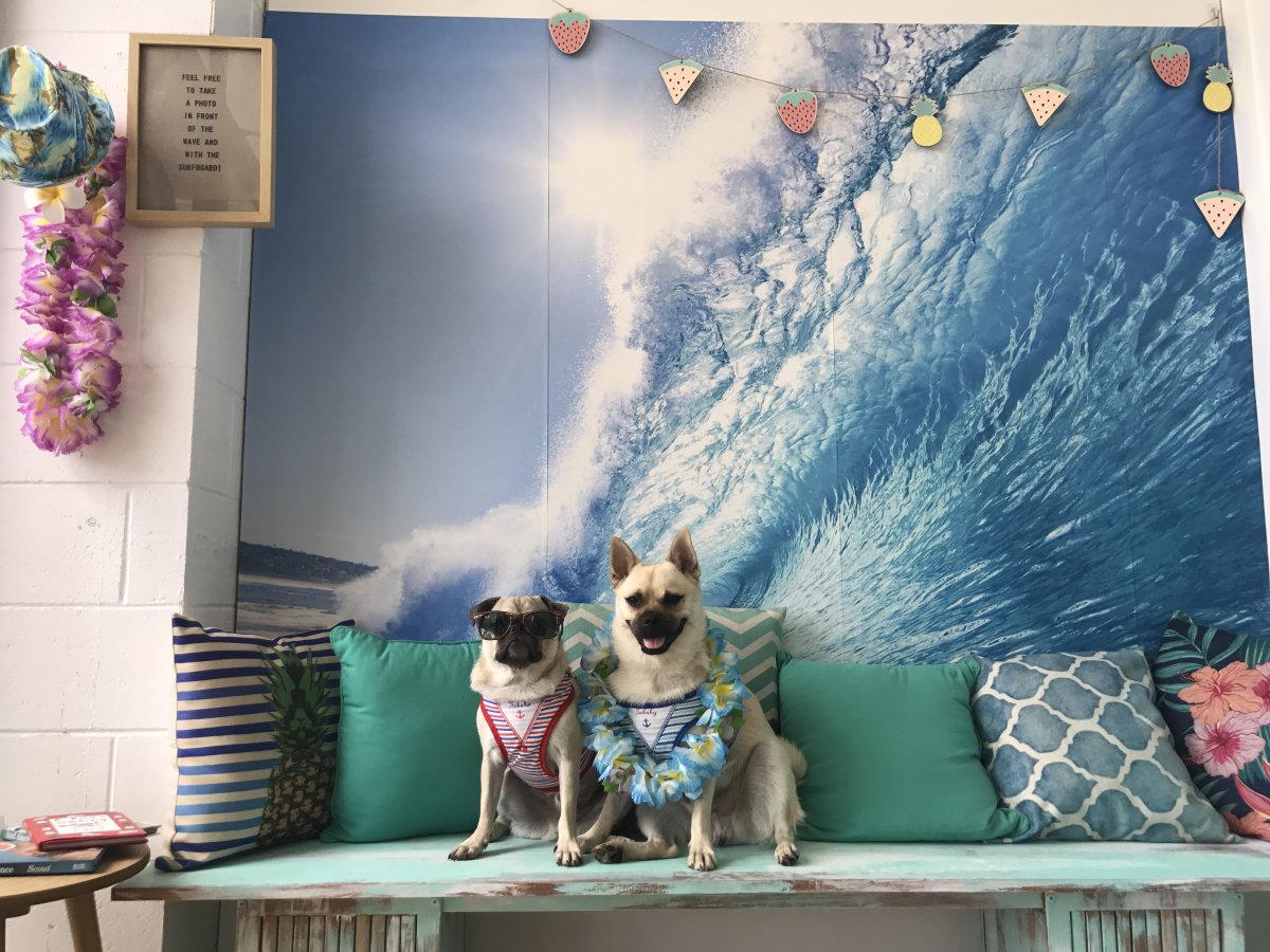 Детские фотозоны для фотостудии