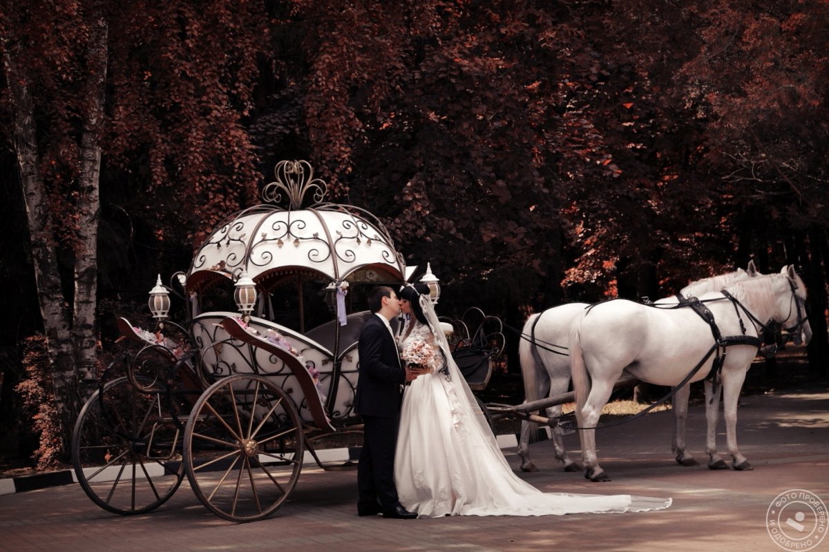 Мендельсон свадебный карета