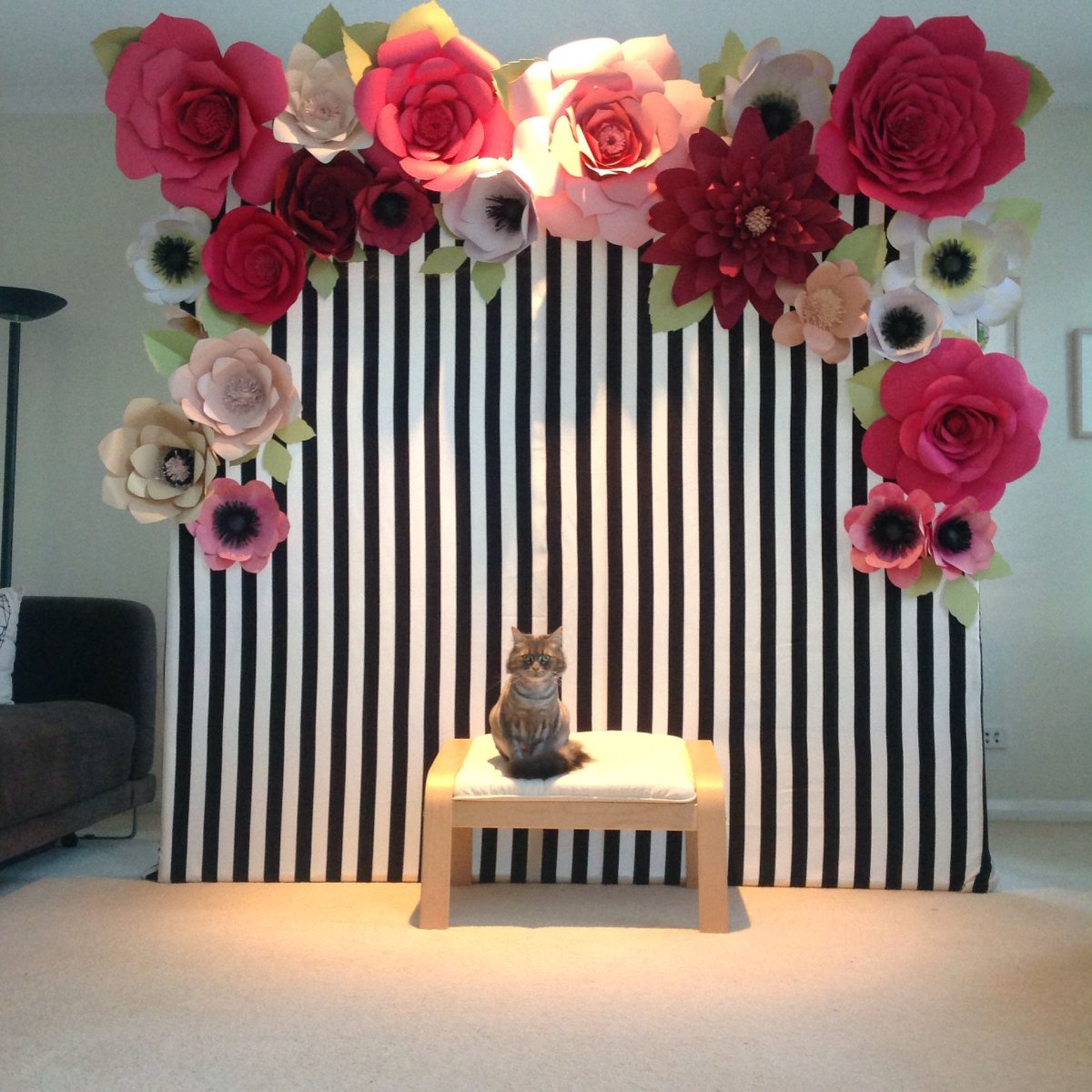 Фотозона для косметики