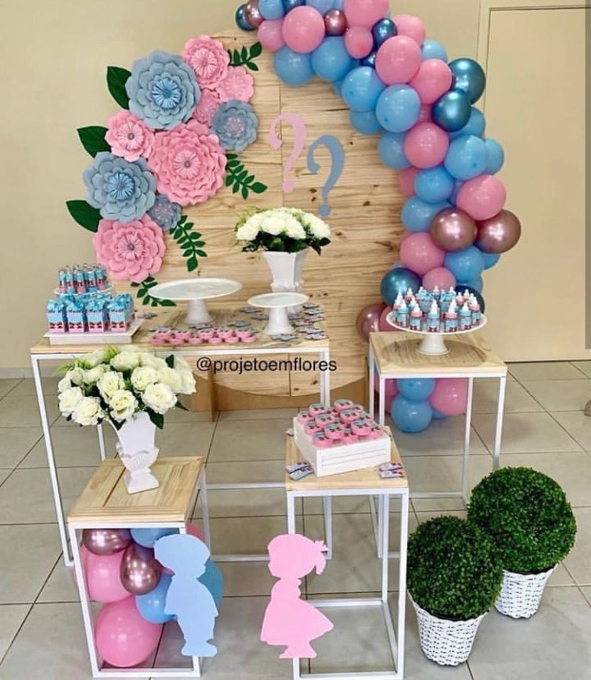 Вечеринка гендер пати