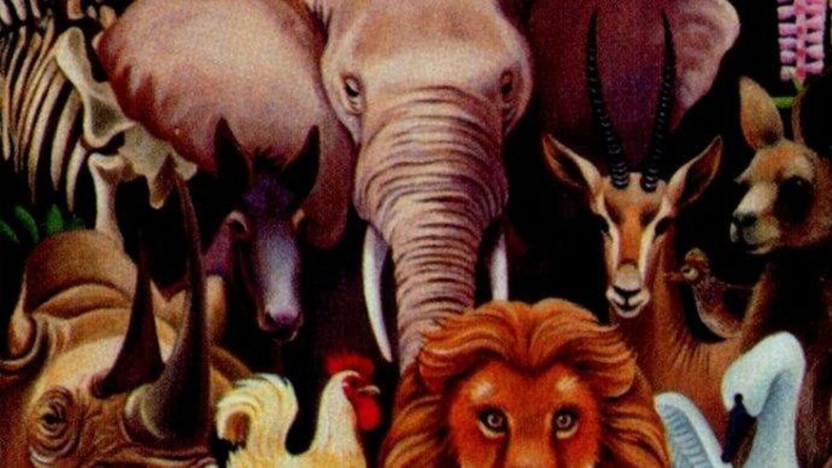 Камиль сен-Санс карнавал животных