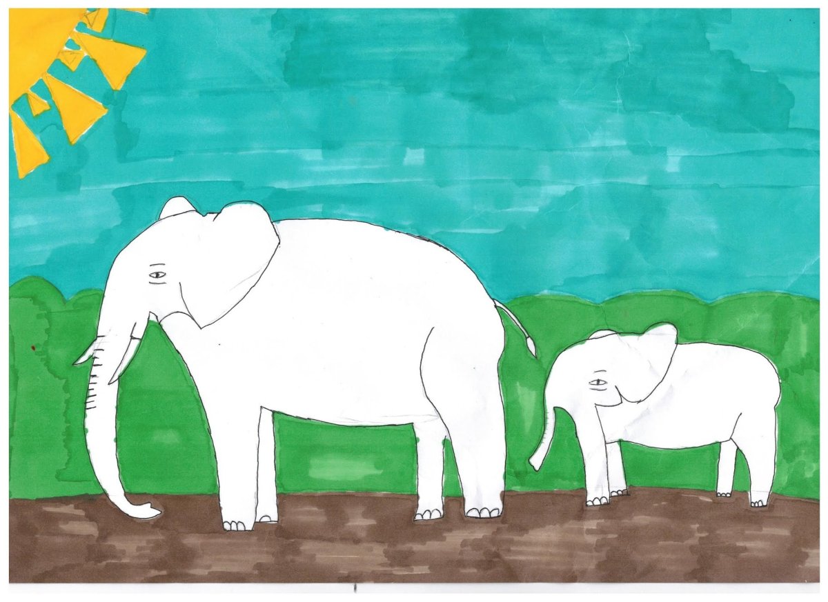 Карнавал животных камилт Сенс АН