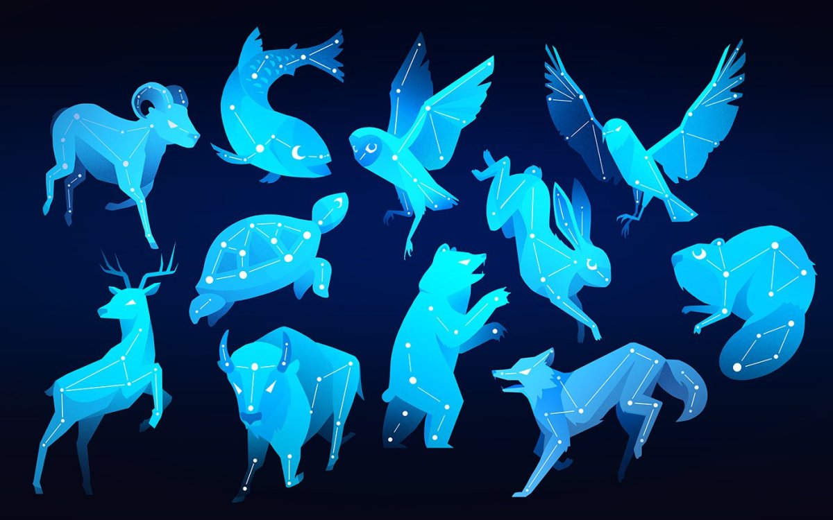 Сен Санс аквариум