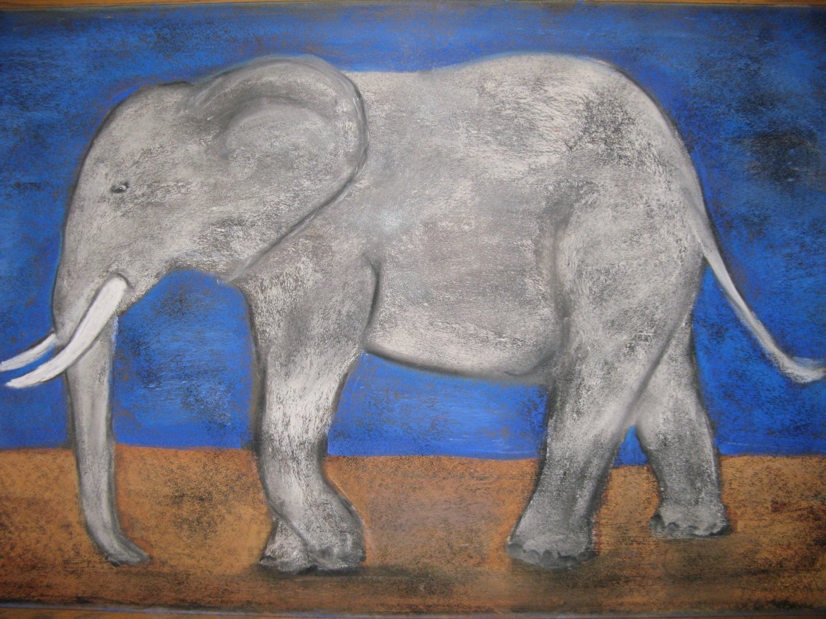 Камиль сен-Санс карнавал животных осел